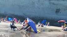 Imagen de No se respeta la prohibición de llevar perros a la playa en la costa de Viedma