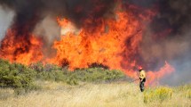 Imagen de Ante el alto riesgo de incendios, prohíben hacer fuego al aire libre en Río Negro