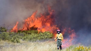 Se profundiza la sequía y crece el alerta de incendios de campos de Río Negro