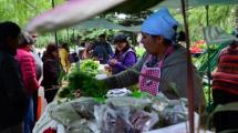 Imagen de Las verduras agroecológicas suman más adeptos en la feria franca de Bariloche