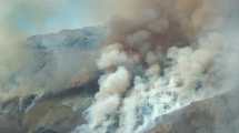 Imagen de Sigue fuera de control el incendio forestal en un campo cerca de Ñorquinco