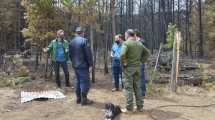 Imagen de El Bolsón: allanan la casa del hombre sospechado de haber causado el incendio