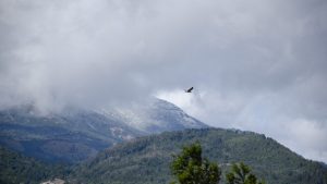 Así empieza la semana este lunes en la región: mirá el pronóstico