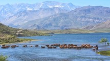 Imagen de Fotos increíbles del norte neuquino para renovar las ganas de viajar