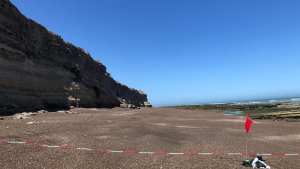 Aparecieron crías de lobos marinos en el balneario La Lobería