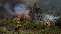 Imagen de Este lunes es clave en el incendio forestal de El Bolsón