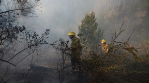 Crean una web para medir el riesgo de incendios forestales y generar conciencia en Bariloche