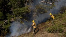 Imagen de El duro relato de un brigadista que combate el incendio en El Bolsón