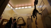 Imagen de El Museo Jacobacci invita a revivir los momentos de dinos y los antepasados