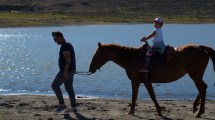 Imagen de El campo que sobrevivió al volcán Puyehue y se abre al turismo rural en la Región Sur