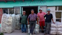 Imagen de Campesinos de la Región Sur vendieron su lana a U$s 4,4 el kilo