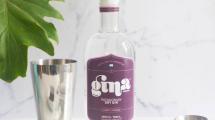 Imagen de Premio internacional para «Gina», el primer gin fabricado en Neuquén