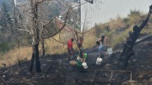 Imagen de Controlan un incendio en el centro de Bariloche