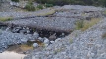 Imagen de Se redujo el nivel del río Ñireco y hay baja presión de agua en Bariloche