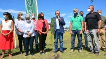 Imagen de Plantan ejemplares de sauce criollo en la costanera de Viedma