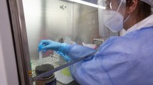 Imagen de Coronavirus: científicos del Conicet prestan colaboración al hospital de Bariloche