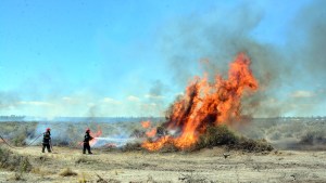 Unas 30 hectáreas fueron afectadas por el fuego en el Parque Industrial de Viedma