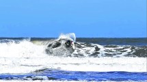 Imagen de El Espigón, la playa de las olas más grandes, para surfear en Semana Santa