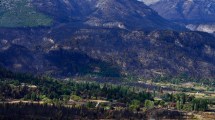 Imagen de Abogado ambientalista: «Es raro que siempre se quemen los mismos lugares»