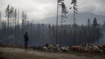 Imagen de Incendios en la cordillera: cerca de una treintena de heridos en el combate del fuego