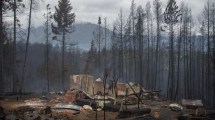 Imagen de Incendios en la cordillera: «Mi abuela se escapó con lo puesto, no se llevó ni los remedios»