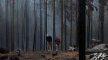 Imagen de Salud enviará vacunas contra la Covid para damnificados en los incendios de la comarca andina