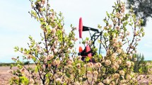 Imagen de A días del vencimiento del plazo, Río Negro no logró aún firmar ninguna prórroga petrolera