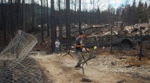 Imagen de Tras 27 días de combate, lograron controlar los incendios en la Cordillera