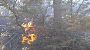 Contienen un incendio que se inició ayer en un cerro de Moquehue