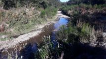 Imagen de Confirmaron que se vertieron efluentes cloacales en un arroyo de La Angostura