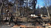 Imagen de A un mes de los incendios, Chubut no logra recuperarse