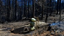 Imagen de Incendios en la Patagonia: hallaron calcinado a un trabajador rural cerca de El Maitén