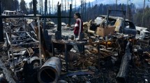 Imagen de Quieren determinar el impacto ambiental causado por los incendios en la Cordillera