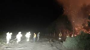 Contuvieron el incendio forestal en Junín de los Andes