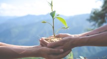 Imagen de Conservatorio sobre Agroecología se dictará desde la UNRN