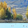 Imagen de Un pueblo de Neuquén cerró su basural a cielo abierto y ahora recicla el 75% de sus residuos