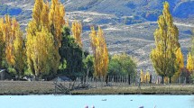 Imagen de Un pueblo de Neuquén cerró su basural a cielo abierto y ahora recicla el 75% de sus residuos