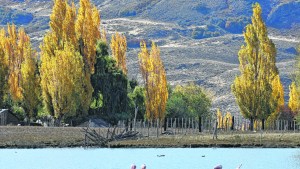 Un pueblo de Neuquén cerró su basural a cielo abierto y ahora recicla el 75% de sus residuos