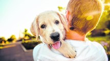 Imagen de ¿Por qué se celebra hoy el Día Mundial del perro?