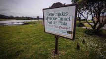 Imagen de Mar del Plata: ¡Llovieron arañas en el parque Camet!