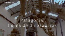 Imagen de Documental sobre dinosaurios de la UNRN se difundirá en el Canal Encuentro