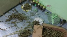 Imagen de Secuestraron 7 kilos de marihuana en dos allanamientos en Villa Regina