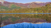 Imagen de Maravillas de la ruta 40: la Patagonia se refleja en una laguna a 35 km de San Martín de los Andes