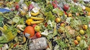 Desperdicio de comida en el mundo, un desafío para los próximos 30 años