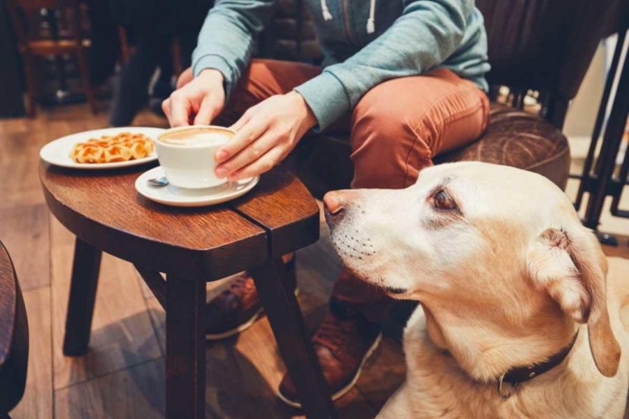 El tiempo acompaña para tomar un café con tu mejor amigo, no?.-