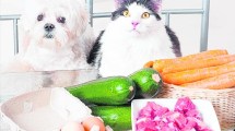 Imagen de Suplementos alimenticios naturales en perros y gatos