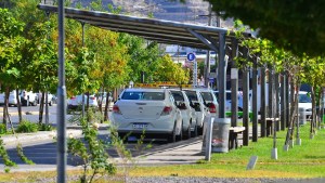 Establecen pautas para el servicio de taxis en las noches de Regina