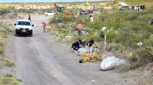 Imagen de Convocan a inscribirse para formar la guardia ambiental voluntaria en Regina