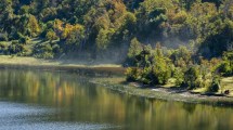 Imagen de Laguna Rosales, un paraíso a 7 km de San Martín de los Andes