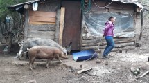 Imagen de Polémica entre Gennuso y Nación por tierras de una comunidad mapuche